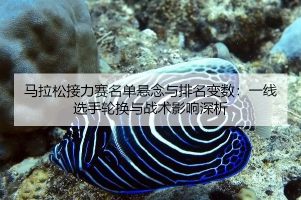 马拉松接力赛名单悬念与排名变数：一线选手轮换与战术影响深析
